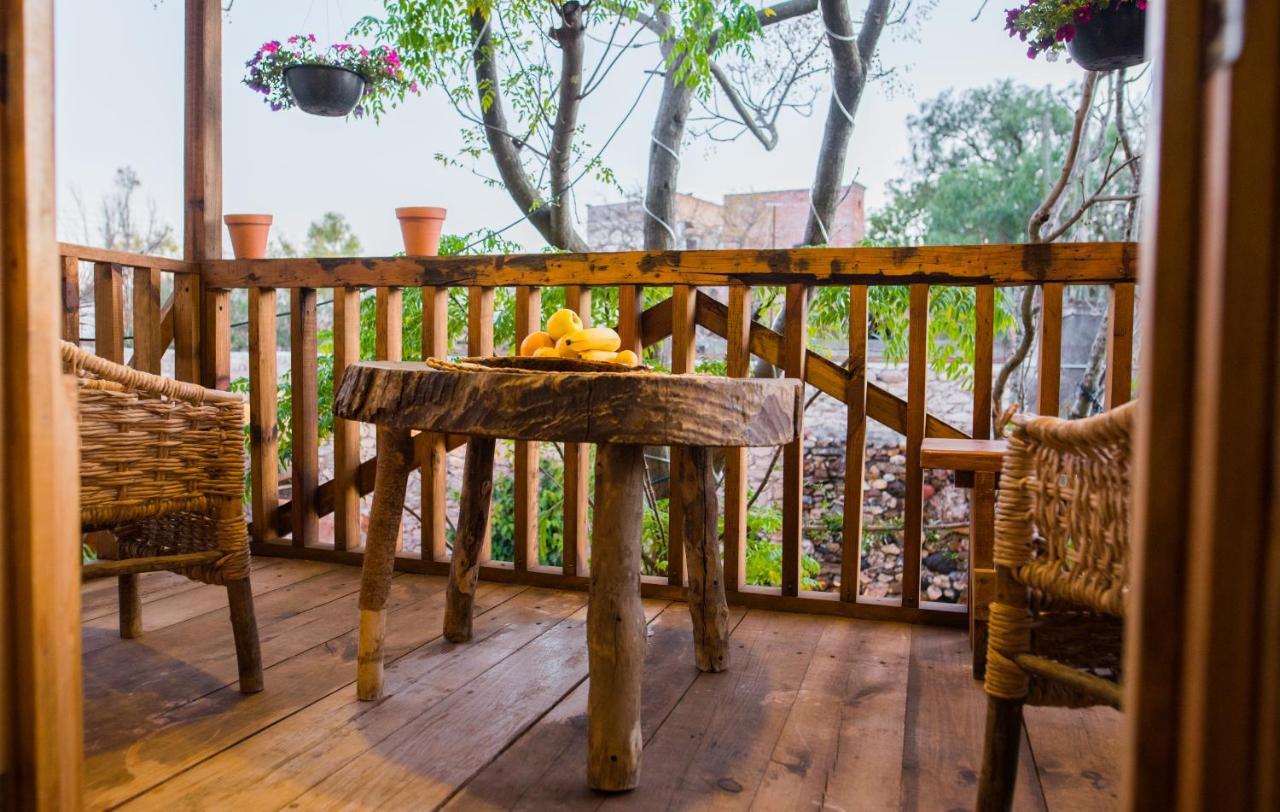 Hotel Colibri Pozos  Exterior photo