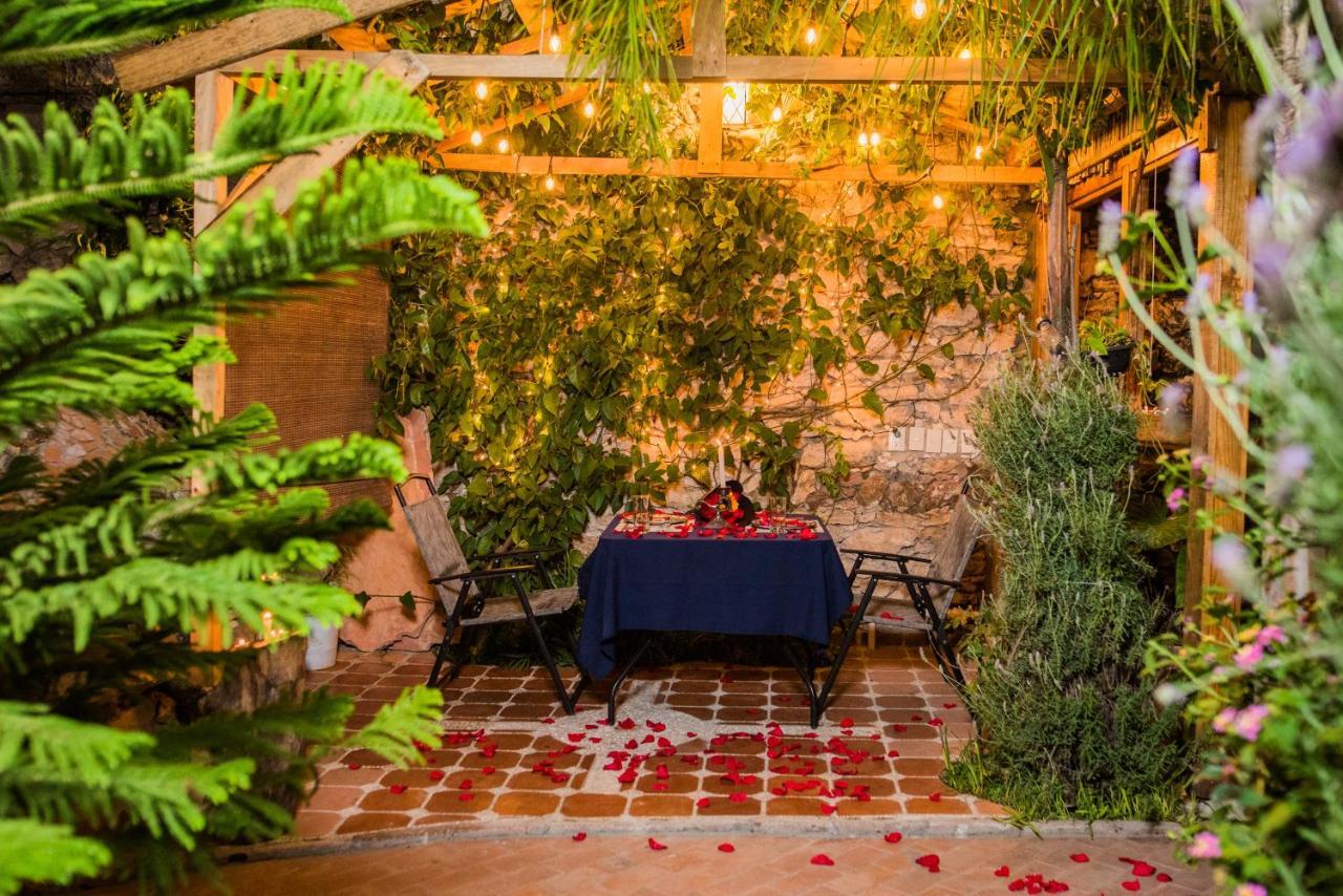 Hotel Colibri Pozos  Exterior photo